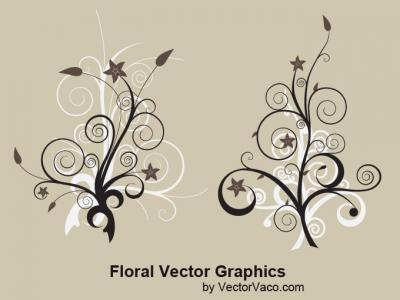Flourishes & Swirls - Floral Vector Art 