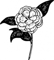 Flowers & Trees - Flower Camellia clip art 