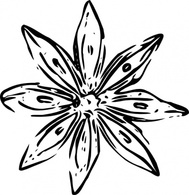 Flower Outline clip art