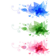Ornaments - Flower vector background 