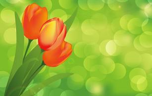 Abstract - Flower with Green Background Vector Art 