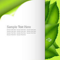 Free template greenery and nature vector Preview