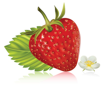 Food - Free Vector strawberry realistic fruit 