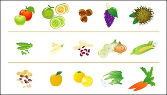 Fruits and vegetables icon Preview