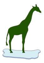 Giraffe On Ice