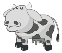 Gray Cow