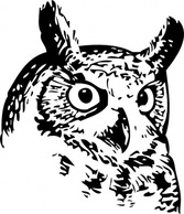 Great Owl clip art Preview