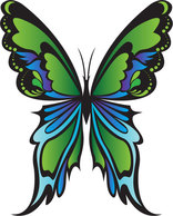 Green Butterfly Vector Preview