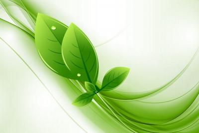 Green Eco Leaves Background Vector Preview