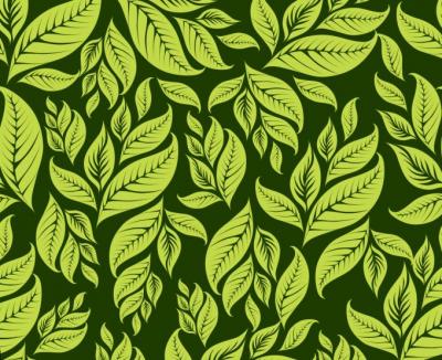 Backgrounds - Green Floral Pattern 