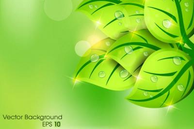 Green Leaf Spring Background Vector Preview