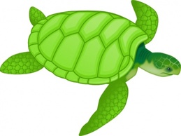 Animals - Green Sea Turtle clip art 