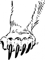 Animals - Grizzly Bear Paw clip art 