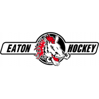 HC Eaton Pardubice Preview