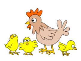Animals - Hen with three chicken 