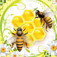 Honey And Bees Preview