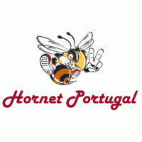 Moto - Hornet Portugal 