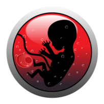 Human embryo (silhouette) Preview