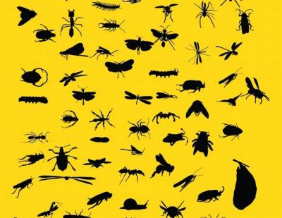 Insect silhouettes Preview