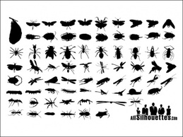 Insect Silhouettes.
