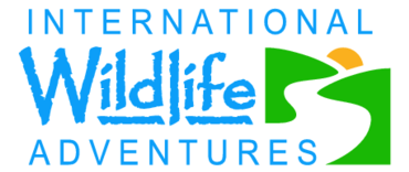 International Wildlife Adventures