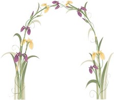 Iris Flower 6