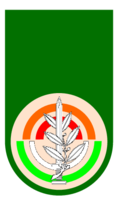 Israel Army Unit