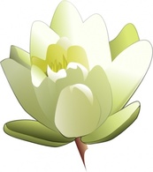 Objects - Leland Mcinnes Water Lily clip art 