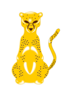 Animals - Leopard 