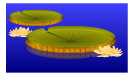 Lilypad with Flowers Preview