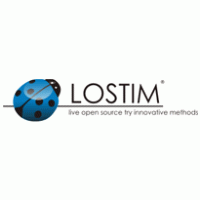 LOSTIM web agency