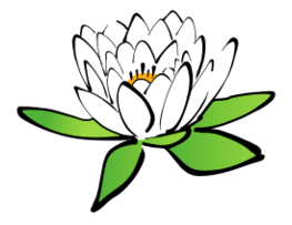 Flowers & Trees - Lotus flower 