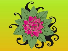 Nature - Lotus Flower 