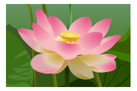 Flowers & Trees - Lotus Flower 