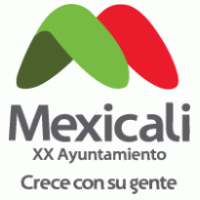 Mexicali XX Ayuntamiento Preview