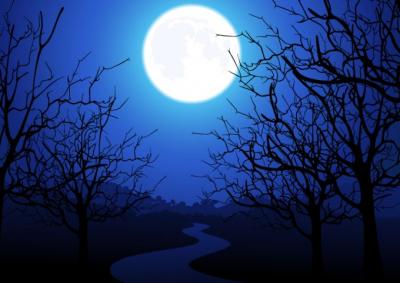 Moonlight Trees Vector Preview