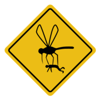 Mosquito hazard Preview