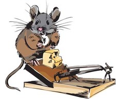 Mouse Vector 6