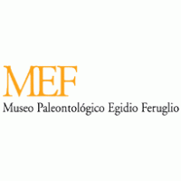 Museo Egidio Feruglio Preview