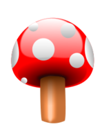 Mushroom.one
