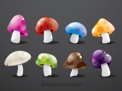 Mushroom Vector Set Preview