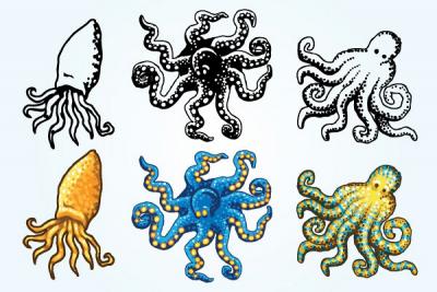 Octopus Vector Graphics
