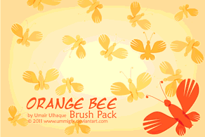 Orange Bee Brush Preview