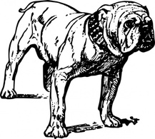 Outline Dog Bulldog Lineart Pet Animal Papapishu Bw