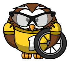 Owl cyclist Preview
