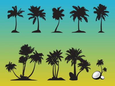 Palm Tree Vectors Preview