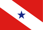 Para State Vector Flag Preview