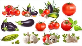 Peppers, eggplants, tomatoes, garlic, beans, cucumber, tomato Preview
