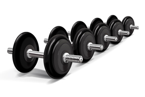 Miscellaneous - Pesi - Free Weights Vectors 