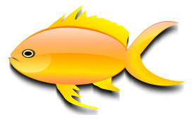 Nature - Pez dorado (gold fish) 
